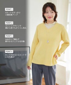 Tiaclasse L 【洗える】Vネックリブ編みニット