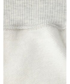 Green Parks ムジークタイガー／裏起毛プリントプルオーバー