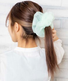 WEGO スケBIGシュシュ