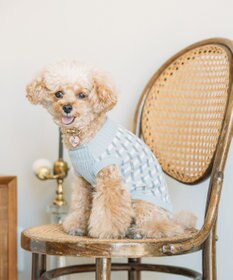 COQ ＜飼い主と愛犬のリンクコーデ＞【小型～中型犬】EVER CROSS ドッグウェア