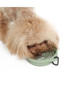 PET PARADISE ペットパラダイス シリコン折畳み フードボウル