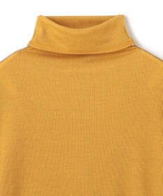 BEIGE， 【洗える・GISELe 10月号掲載】FORD / ウール配色メローハイネックカットソー