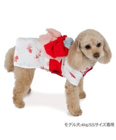 PET PARADISE ペットパラダイス 浴衣 《遊泳金魚》 小型犬