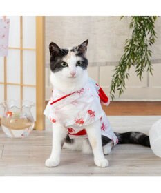 PET PARADISE ペットパラダイス 浴衣 《遊泳金魚》 小型犬