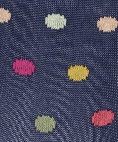 Paul Smith Jem Polka シアー ソックス