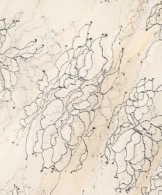 Feroux 【2WAY・セットアイテム】レースブラウス×ジャンパースカートセット