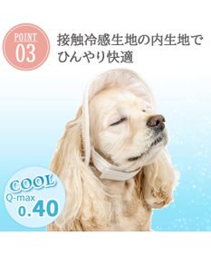 PET PARADISE ペットパラダイス レース クール ハット ＳＭ～Ｍ/Ｌ 中型犬 大型犬
