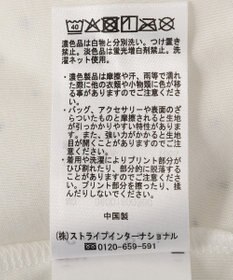 Green Parks マジョリカプリーツショートスリーブブラウス