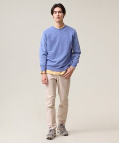 J.PRESS MEN 軽やかに着映える上質ベーシック【ストレッチ / イージーケア】【FLEX YARN】クルーネック ニット