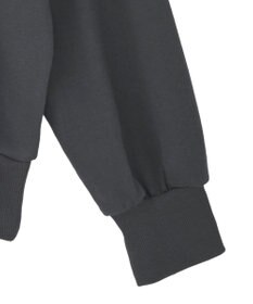 Green Parks １０１匹わんちゃん／ポロ衿裏毛スウェット