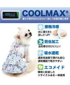 PET PARADISE ディズニー ミニー クール 天竺　ワンピース 小型犬