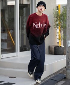 WEGO 【ユニセックス着用ITEM/MLサイズ展開】ファジーグラデーションプルオーバー