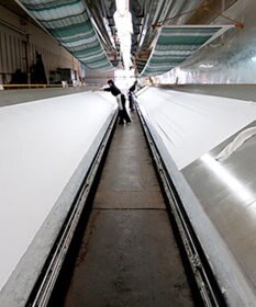 Marca ＜秋の新色＞【Marcaオリジナル】グース  小判 シルクツイル スカーフ