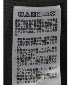 AMERICAN HOLIC フロッキーＰｔフェード加工Ｔ／Ｄｏｎａｌｄ