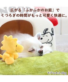 PET PARADISE スヌーピー お庭付き赤い屋根 折り畳みハウス【小】