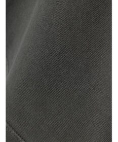 AMERICAN HOLIC フロッキーＰｔフェード加工Ｔ／Ｄｏｎａｌｄ