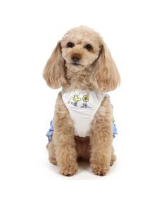 PET PARADISE スヌーピー エコメイド ワンピース 《バケーション柄》 小型犬