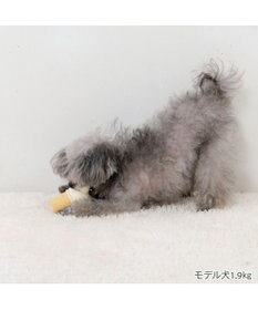 PET PARADISE ペットパラダイス くまアイス トイ