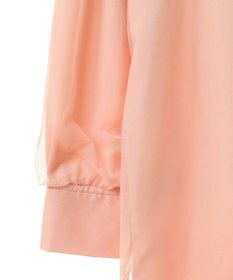 Green Parks ２Ｗａｙ　チュールドッキングシャツチュニック