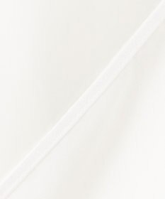 ICB L 【洗える】 PlaXシアーオーガンジー シャツ