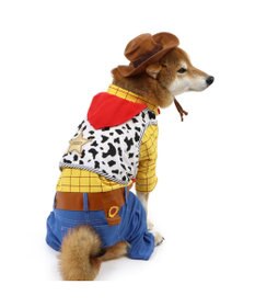 PET PARADISE ディズニー トイ・ストーリー なりきりウッディ 中型犬