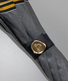 AURORA Beaurance （ビューランス）晴雨兼用傘（トップフラット）