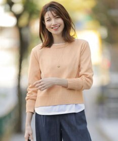 J.PRESS LADIES 【洗える】Reeves  Shine クルーネック ニット