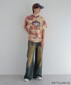 Green Parks ＳＴＡＲ　ＷＡＲＳ／刺繍ＣＡＰ