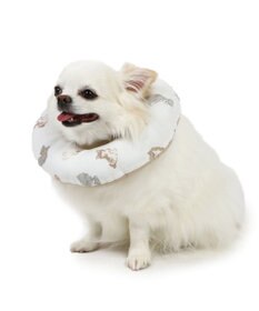 PET PARADISE ペットパラダイス makokoro エリザベスカラー 《わんちゃん柄》 ４Ｓ～３Ｓ 小型犬