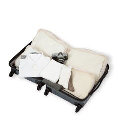 ACE BAGS & LUGGAGE proteca スタリアVsD スーツケース 53L キャスターストッパー 08212 プロテカ