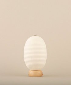 ちょうちん堂 【cocolan Muji】恐竜 ちょうちん ライト