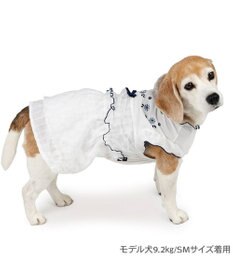 PET PARADISE ペットパラダイス フロッキー お花 ワンピース 《ホワイト》  中型犬 大型犬
