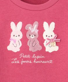 ANY KIDS 【らくっトレーナー】アニマル 裏毛 サガラ刺しゅう トレーナー