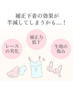 BRADELIS New York 【BRADELIS New York】ブラデリス ランジェリーソープ 170ml 液体タイプ