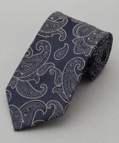 GOTAIRIKU GOTAIRIKU別注【MANTERO SETA/マンテロ・セタ】ネクタイ_ペイズリー