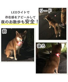 PET PARADISE 犬 散歩 夜 光る スヌーピー ＬＥＤ お散歩ライト
