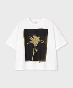 Paul Smith フローラル フォトプリント 半袖Tシャツ