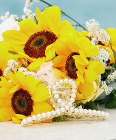 Tiaclasse パールヘアクリップ