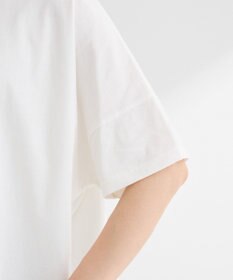 Green Parks アソート柄ＢｉｇサイズＴシャツ