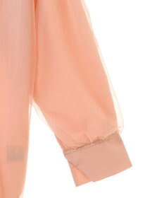 Green Parks ２Ｗａｙ　チュールドッキングシャツチュニック