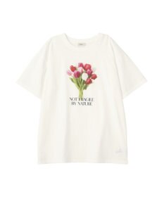 earth music&ecology アソートプリントＴシャツ
