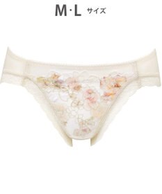 WACOAL ショーツ 【ハグするブラ】BRB488とペア はきこみ丈あさめ バックはナイロンベア天竺素材 レディース PRA188 /ワコール