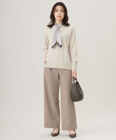 J.PRESS LADIES 【洗える】SOFT TOUCH WOOL 立ち襟 ニット