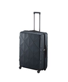 ACE BAGS & LUGGAGE Proteca コーリー2  96L 01484 プロテカ 日本製