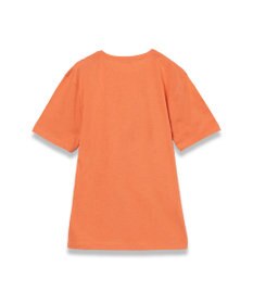 JOSEPH 【洗える】コットンシルク　ジャージーティーシャツ