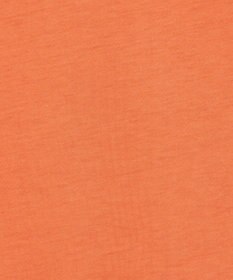 JOSEPH 【洗える】コットンシルク　ジャージーティーシャツ