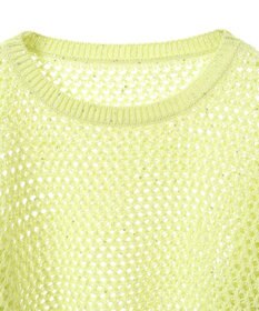 earth music&ecology スパンコールメッシュニットプルオーバー