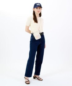 LeSportsac GRADIENT MINI PHONE BAG/パーライズドグラディエントシャイン