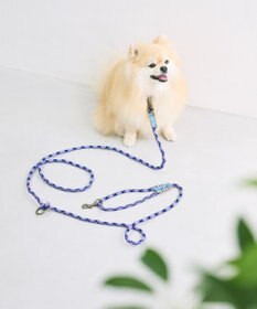 COQ HAPPY ARGYLE  ハンズフリーロングドッグリード