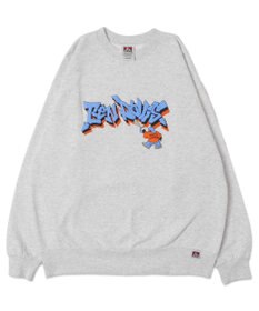 WEGO 【ユニセックス着用ITEM/MLサイズ展開】別注BENDAVISバブルロゴプルオーバー